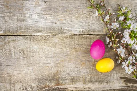 Colorful Easter eggs and blooming flowers on rustic wooden background celebrate Foto stock