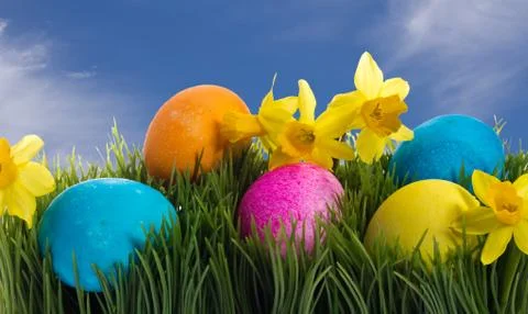 Colorful easter eggs and daffodils in grass Stock Illustration