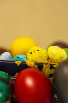 Colorful easter eggs and decoration Stock Photos