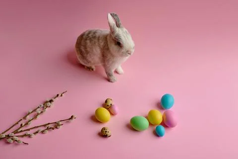 Colorful easter eggs and rabbit on pink background Stock Photos