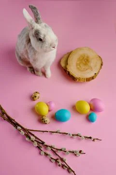 Colorful easter eggs and rabbit on pink background Stock Photos