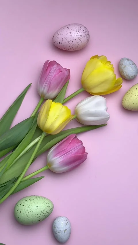 Colorful easter eggs and tulips forming a border on pink background Stock Footage 305236532