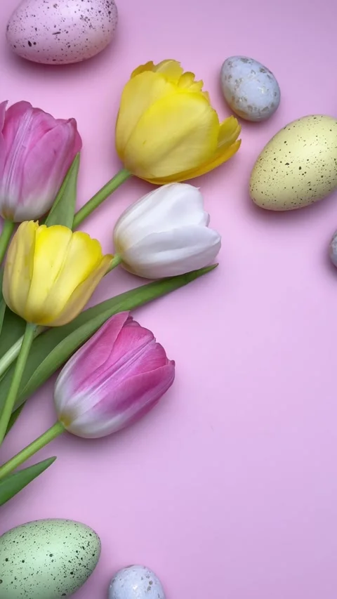 Colorful easter eggs and tulips forming a border on pink background Video stock 305438663