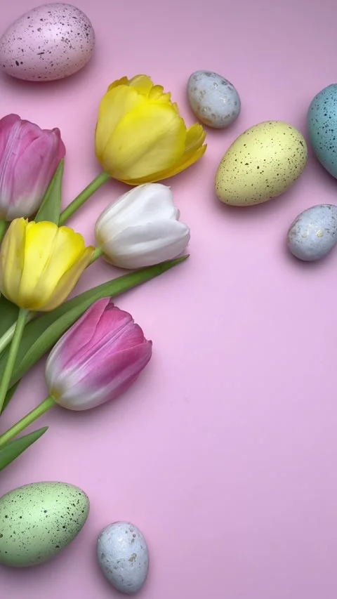 Colorful easter eggs and tulips forming a border on pink background Video stock 305531556