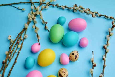 Colorful easter eggs and willow on blue background Stock Photos
