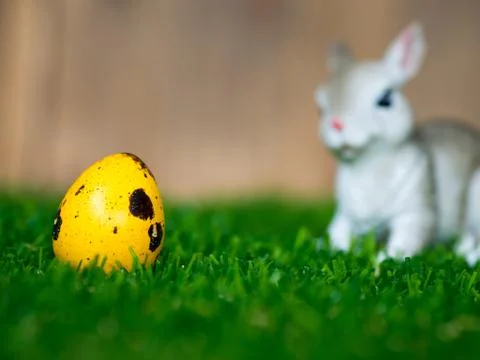 The Colorful easter eggs are in the basket. Placed on green grass. Have a cut Stock-Fotos