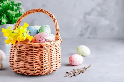 Colorful Easter eggs in the basket with daffodil  flowers on gray stone concr Stock Photos