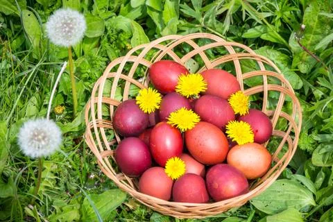 Colorful easter eggs in basket. Happy Easter, Christian religious holiday. Stock Photos