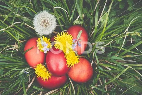 Colorful easter eggs in basket. Happy Easter, Christian religious holiday. Stock Photos