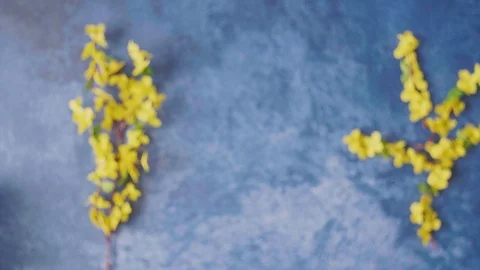 Colorful Easter eggs on blue plate and spring flowers. Easter holiday decorat Stock Footage 124465147