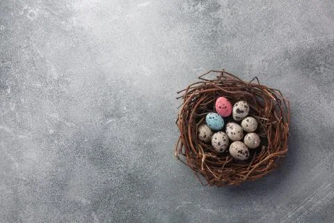 Colorful easter eggs in box and flowers on table. Top view with copy space. Stock Photos