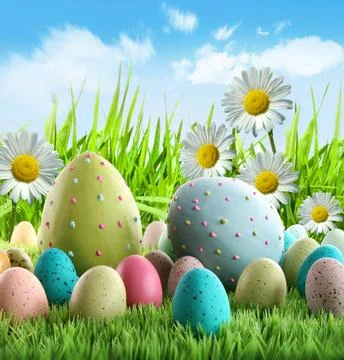 Colorful Easter eggs with daisies Stock Photos
