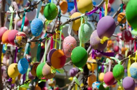 Colorful Easter eggs decorated on tree Stock Photos