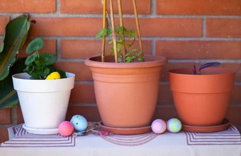 Colorful easter eggs decorating plants in flower pots Stock Photos