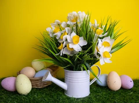 Colorful Easter eggs decorations Daffodils flowers in watering can Yellow b.. Stock Photos