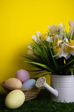 Colorful Easter eggs decorations Daffodils flowers in watering can Yellow b.. Stock Photos