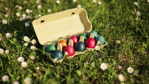Colorful Easter eggs in the egg box. Happy Easter holiday concept. Easter egg is Stock Footage 237726414