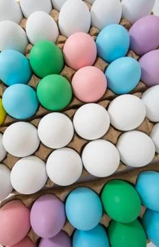 Colorful Easter eggs in egg crate, flat lay view on a wide angle Stock Photos