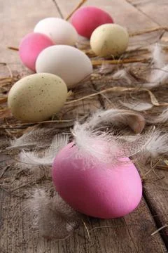 Colorful easter eggs with feathers on old table Stock Photos