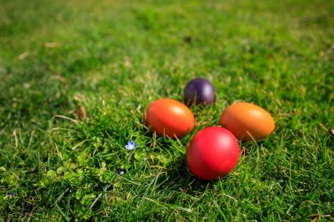 Colorful Easter eggs in a field of grass Stock Photos