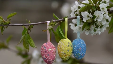 Colorful easter eggs on a flowering tree.against the background of the nature of Stock Footage 184625152