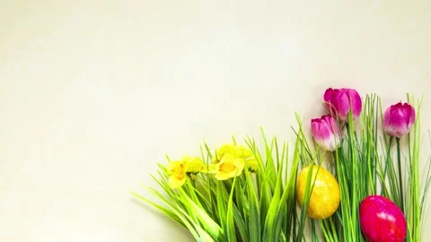Colorful easter eggs with flowers and green grass. Easter eggs disappear on Stock Footage 236005996