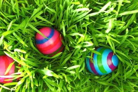 Colorful Easter eggs on fresh green grass Stock Photos