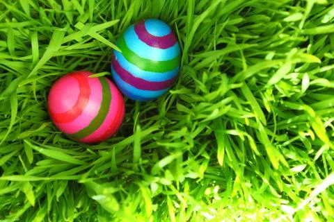 Colorful Easter eggs on fresh green grass Stock Photos