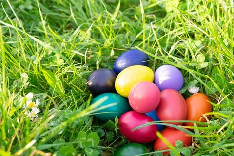 Colorful Easter eggs on grass background. Copy space. Stock Photos
