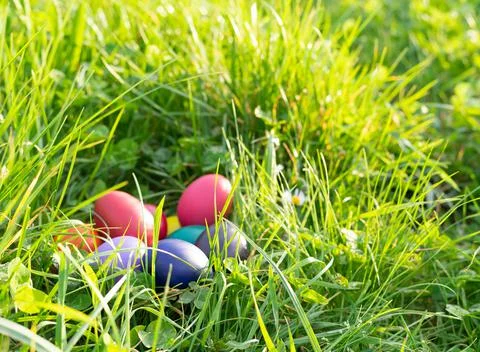 Colorful Easter eggs on grass background. Copy space. Stock Photos