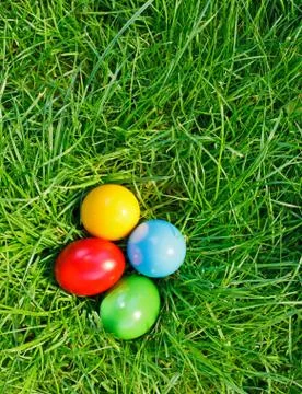 Colorful easter eggs in grass Stock-Fotos