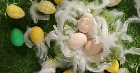 Colorful Easter eggs on the grass. Top view rotating of colorful easter eggs Stock Footage 175405653