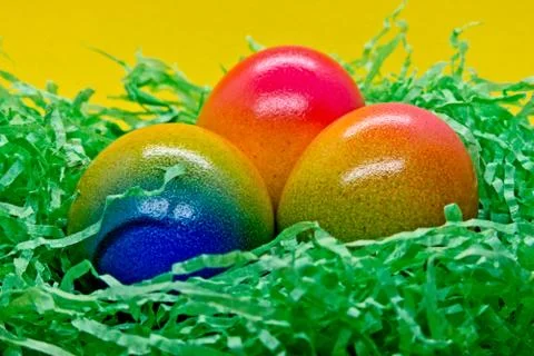 Colorful easter eggs in green easter nest Stock Photos