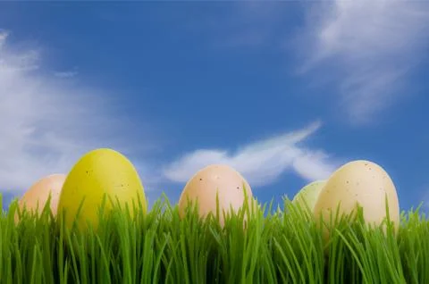 Colorful easter eggs on green grass Stock Illustration