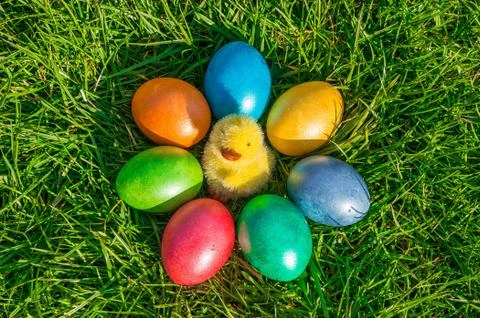 Colorful Easter eggs on a green grass Stock Photos