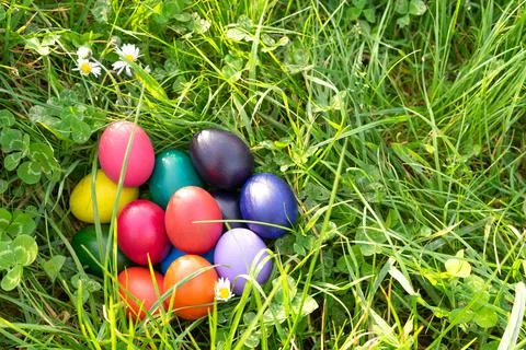 Colorful Easter eggs on green grass. Copy space. Stock Photos