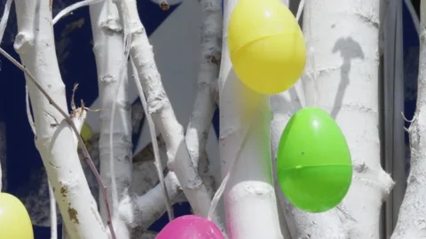 Colorful easter eggs hanged outside from tree no leaves brunches spring Stock Footage 229368808
