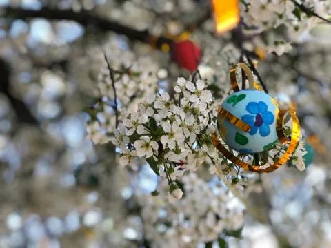 Colorful easter eggs hanged on a tree Stock Photos