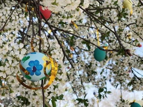 Colorful easter eggs hanged on a tree Stock Photos