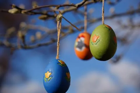 Colorful easter eggs hanging on tree branches on a sunny day Stockfoto's