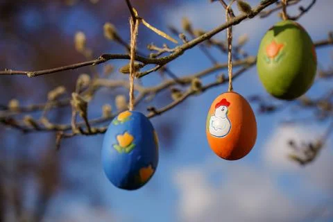 Colorful easter eggs hanging on tree branches on a sunny day Stock Photos