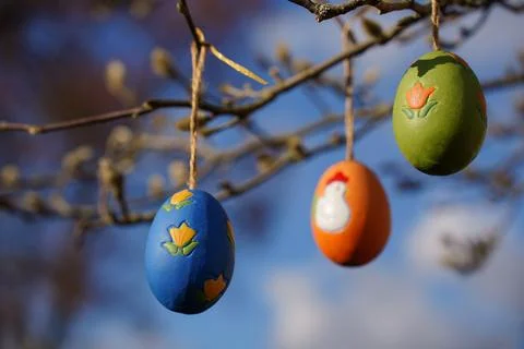 Colorful easter eggs hanging on tree branches on a sunny day Stockfoto's