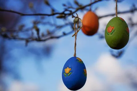 Colorful easter eggs hanging on tree branches on a sunny day Stock Photos