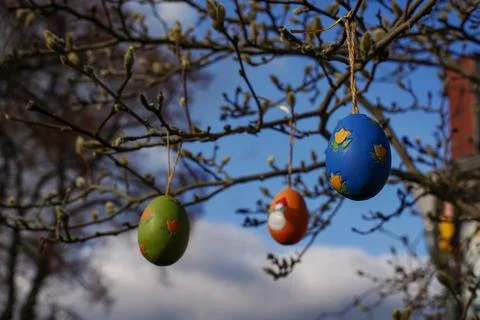 Colorful easter eggs hanging on tree branches on a sunny day with blue sky .. Stock Photos
