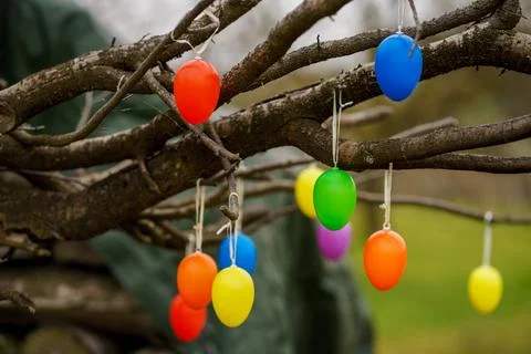 Colorful Easter Eggs Hanging on Tree Branches in Spring Garden Stock Photos