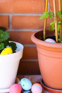 Colorful easter eggs hidden among outdoor plants Fotos de archivo