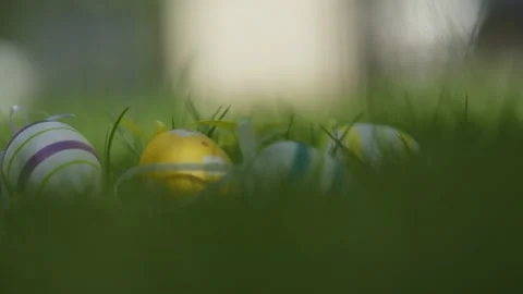 Colorful easter eggs hidden in green grass for traditional easter egg hunt game Stock Footage 230894725