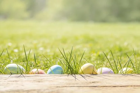Colorful Easter eggs hidden in lush green grass with a wooden border Stock Photos
