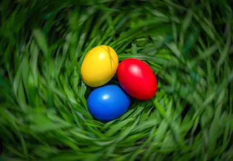 Colorful Easter eggs lie in the grass twisted in the form of a nest Stock Photos