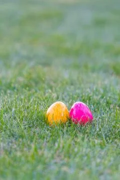 Colorful easter eggs lying in the backyard grass. copyspace Stock Photos